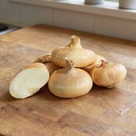 Cipollini Yellow, Onion Seeds